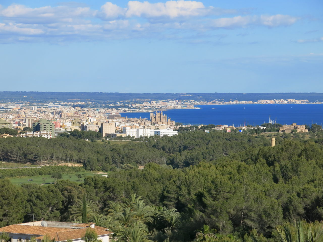 Castillo Son Vida Mallorca Bar Armas