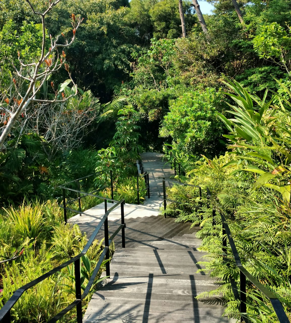 Ritz Carlton Okinawa Spa Path