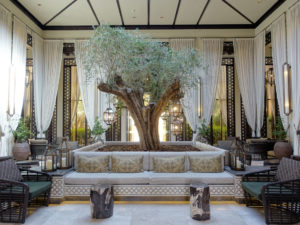 Ritz Carlton Al Wadi tree