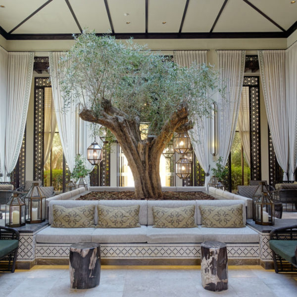Ritz Carlton Al Wadi tree