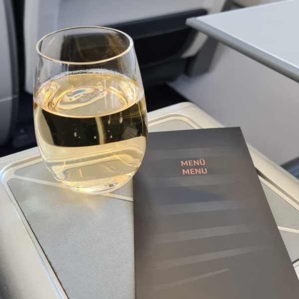 Turkish Airlines business class